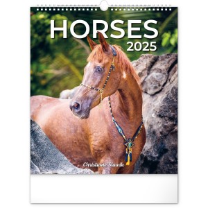 Falinaptr Horses 2024, 30  34 cm (naptr)