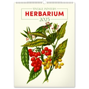 Falinaptr Vintage Posters ? Herbarium 2025, 33  46 cm (naptr)