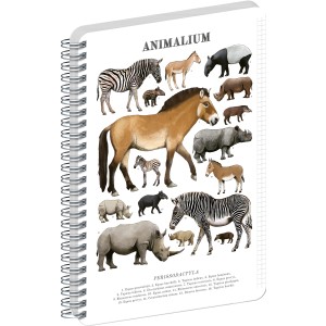 Spir�los Notesz Animalium ? Perissodactyls, quad-ruled, A4